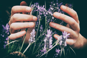Pflanzenheilkunde @ Sanalou.de @ vero-manrique-9OflqNWhcrE-unsplash